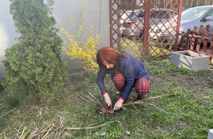 IMG_3743.JPEG