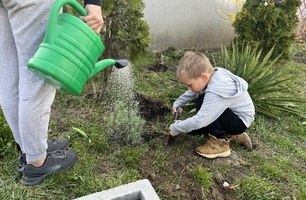 IMG_3772.JPEG