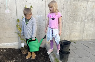 IMG_3919.JPEG
